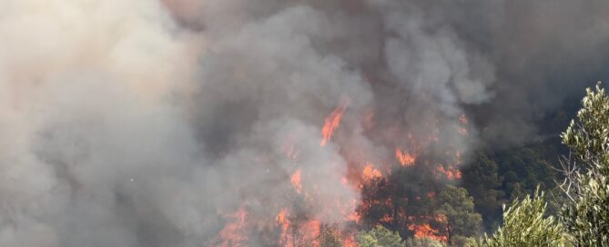 Imagen de la Diputació de Castelló