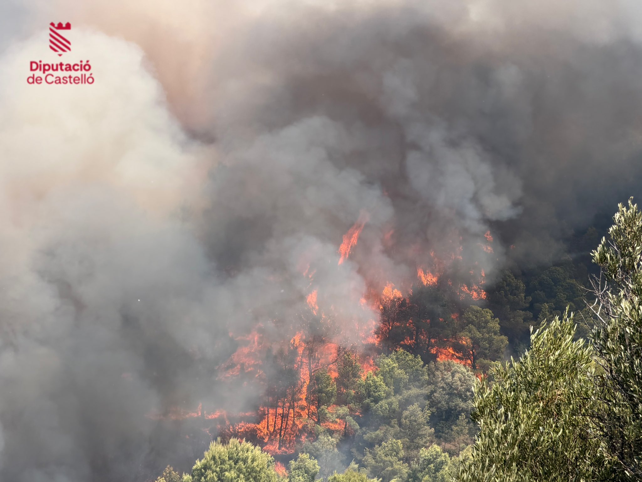 Imagen de la Diputació de Castelló